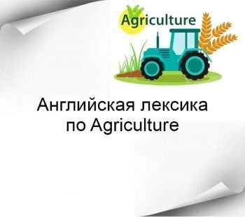 Английская лексика на тему Сельского Хозяйства