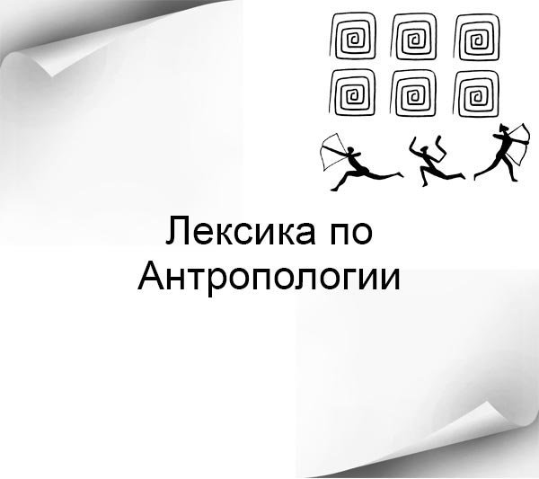 Английская лексика на тему Антропологии