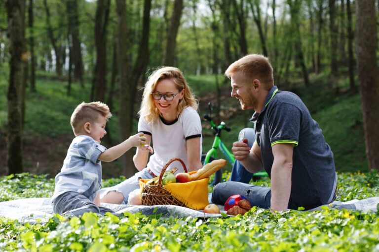Picnic barbecue vocabulary