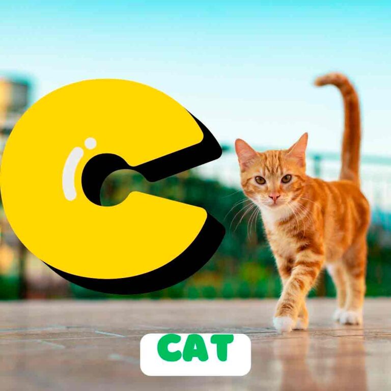 Phonics C
