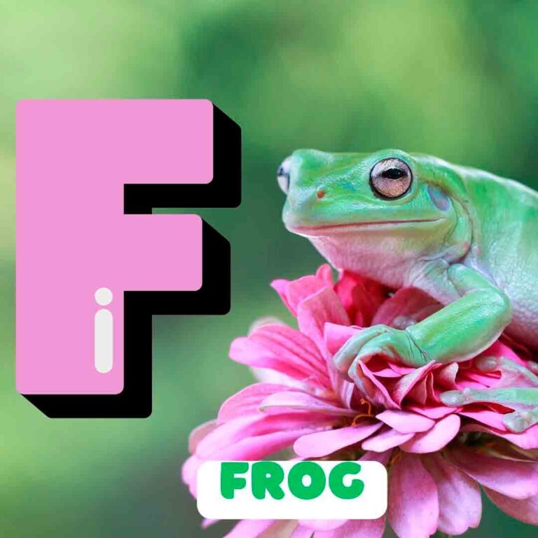 Phonics F