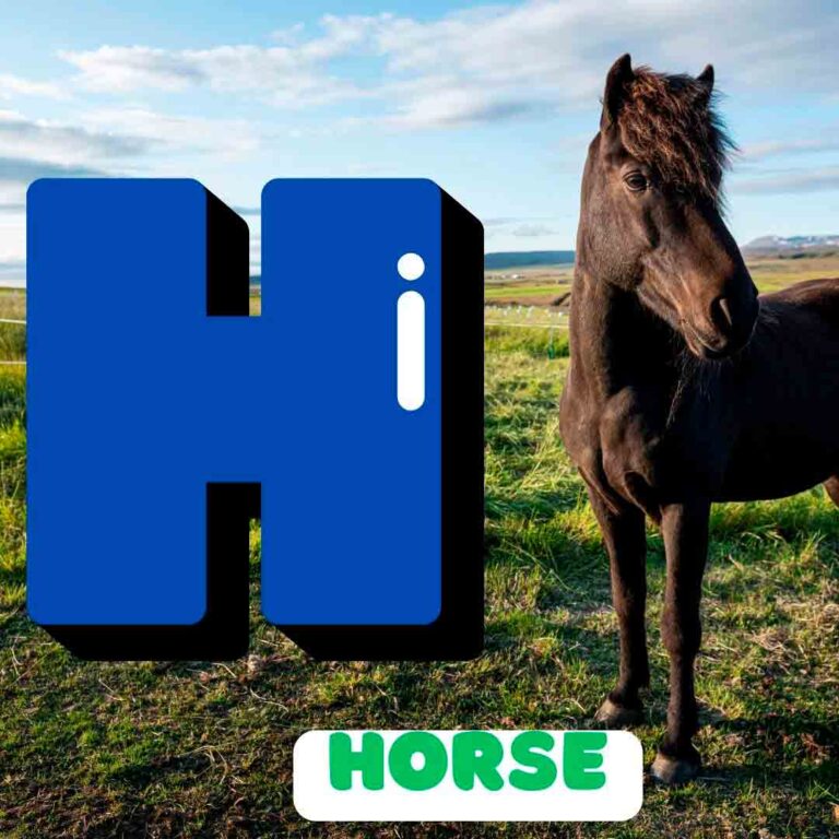 Phonics H
