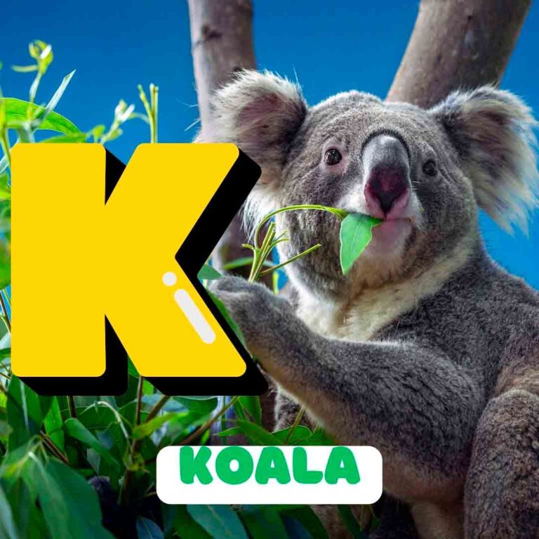 Phonics K