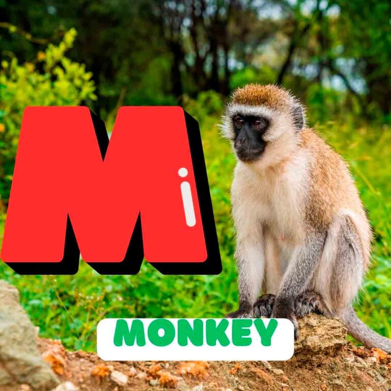 Phonics M