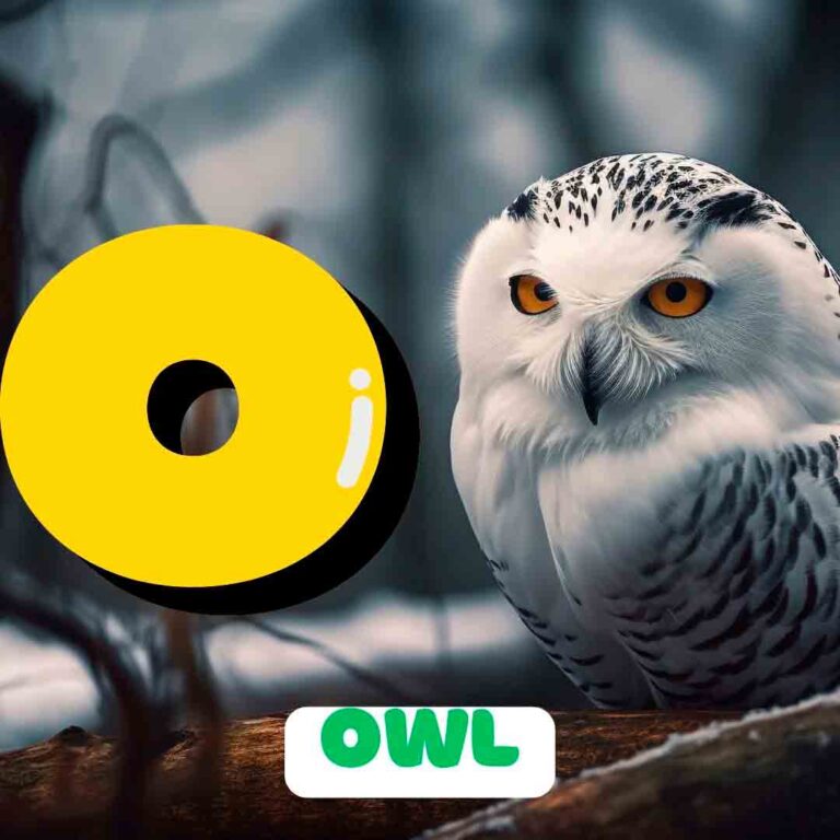 Phonics O