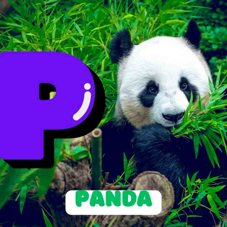 Phonics P