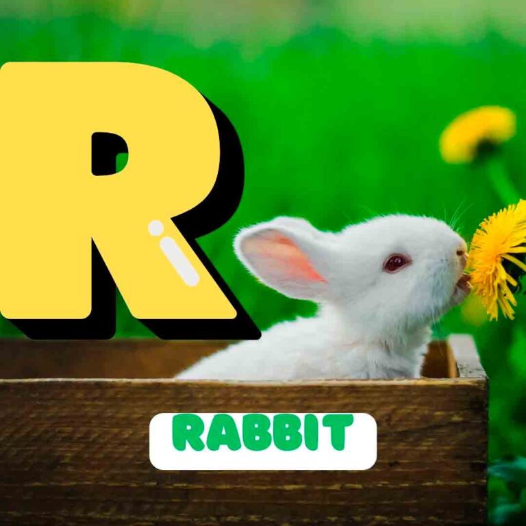 Phonics R