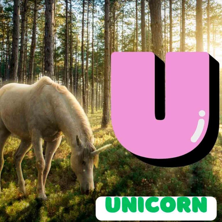 Phonics U